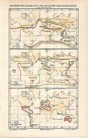 LAMINA ESPASA 23798: Mapa de la distribucion geografica de los mamiferos domesticos