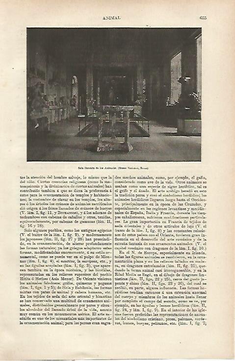 LAMINA ESPASA 23800: Sala de los Animales en el Museo del Vaticano
