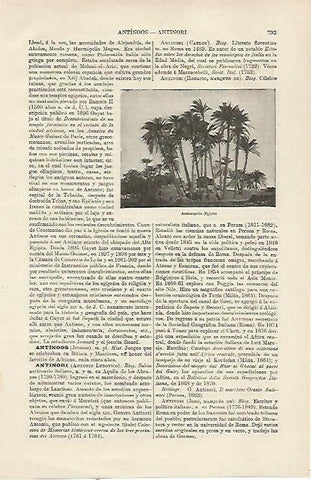 LAMINA ESPASA 23828: Antinopolis en Egipto