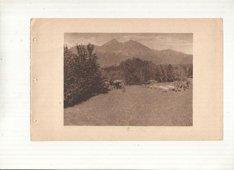 Ceskoslovenske Statni Drahy: Vysoke Tatry: lamina numerada 15: Boucliers de Lomnica et de Kezmark