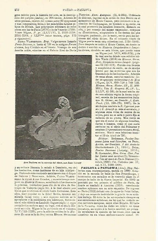 LAMINA ESPASA 23842: Ana Paulova por J. Lavery