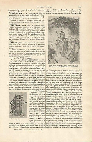 LAMINA ESPASA 23846: Jefes galos dibujo de G. Liudenschmit