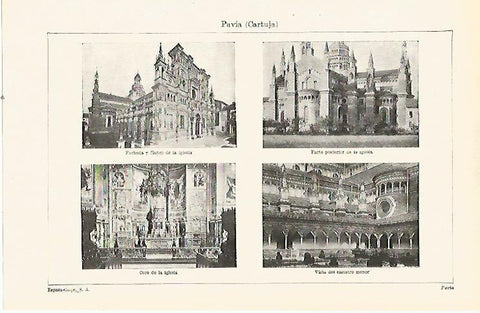 LAMINA ESPASA 23850: Cartuja de Pavia