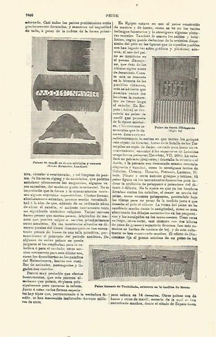 LAMINA ESPASA 23924: Peines de marfil antiguos