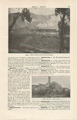 LAMINA ESPASA 23940: Fabrica Duro-Felguera en Mieres