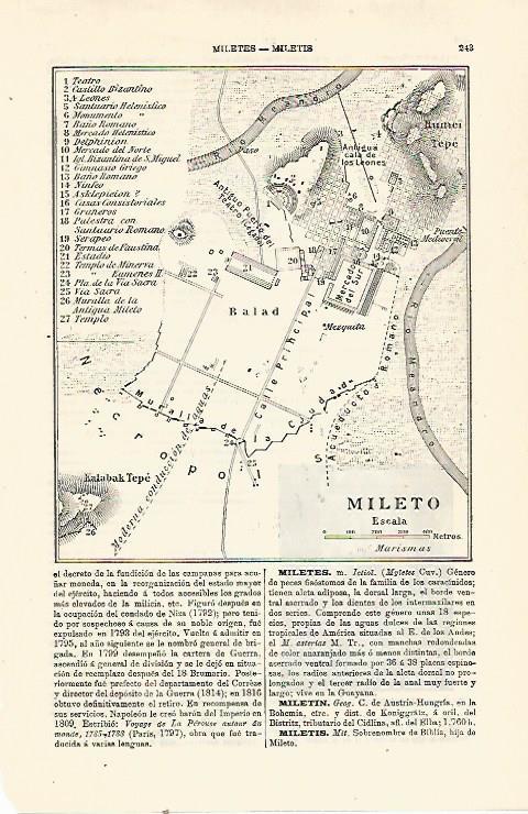 LAMINA ESPASA 23982: Plano de Mileto