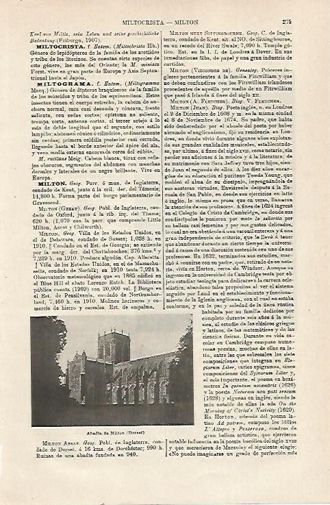 LAMINA ESPASA 23987: Abadia de Milton en Inglaterra