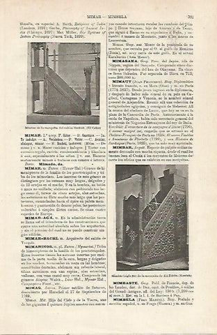 LAMINA ESPASA 23996: Mimbar de la mezquita Barkuk en El Cairo