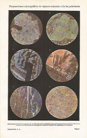 LAMINA ESPASA 24017: Preparaciones micrograficas de minerales