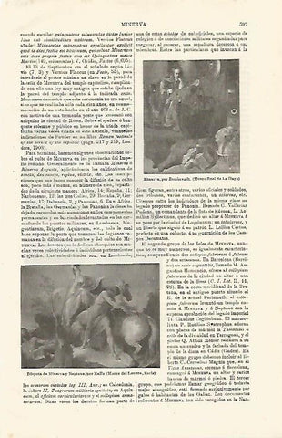LAMINA ESPASA 24027: Minerva por Rembrandt