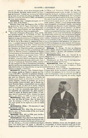 LAMINA ESPASA 24029: Mingrelio
