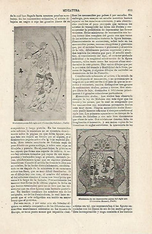 LAMINA ESPASA 24033: Miniatrura persa del siglo XVI