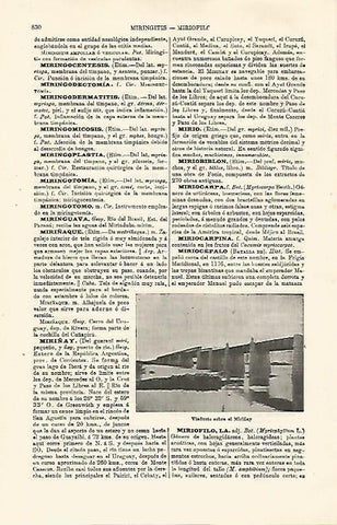 LAMINA ESPASA 24077: Viaducto sobre el Miriflay
