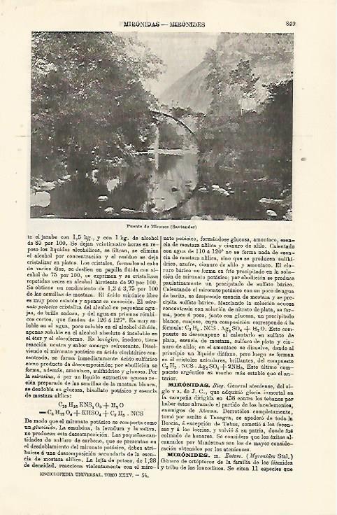 LAMINA ESPASA 24080: Puente de Mirones en Santander