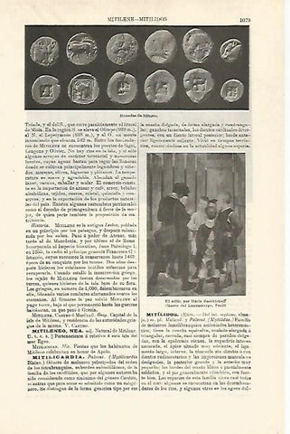LAMINA ESPASA 24136: Monedas de Mitnene