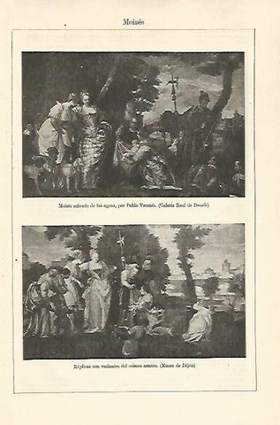 LAMINA ESPASA 24175: Moises por Il Veronese