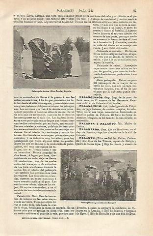 LAMINA ESPASA 24247: Palanquin arabe en Argelia
