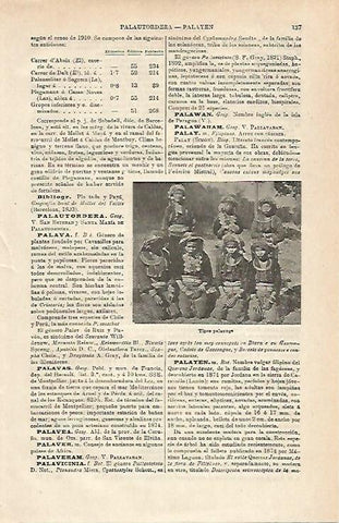 LAMINA ESPASA 24255: Hombres palaung