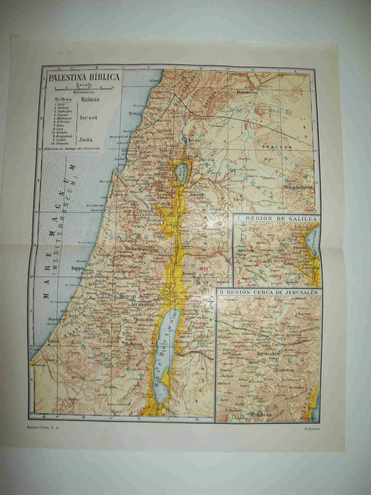 LAMINA ESPASA 24278: Mapa de la Palestina Biblica