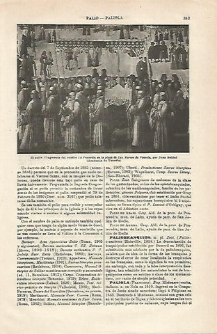 LAMINA ESPASA 24282: El Palio por Bellini