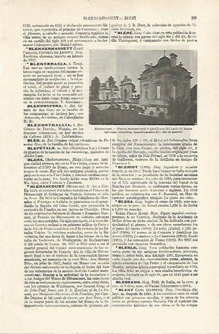 LAMINA ESPASA 24337: Puerta de Bierancourt
