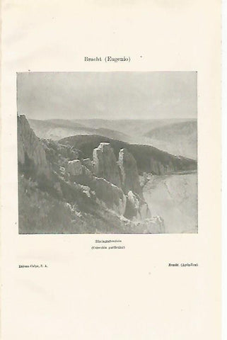 LAMINA ESPASA 24357: Rheingrafenstein por E. Bracht