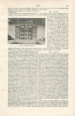 LAMINA ESPASA 24360: Instituto Oswaldo en Brasil