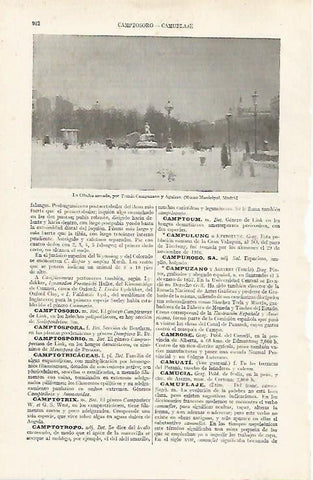 LAMINA ESPASA 24397: La Cibeles nevada por T. Campuzano y Aguirre