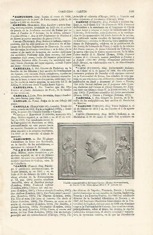 LAMINA ESPASA 24416: Lapida del tenor Caruso en Nueva York