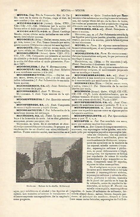 LAMINA ESPASA 24430: Ruinas de la abadia de Muckross
