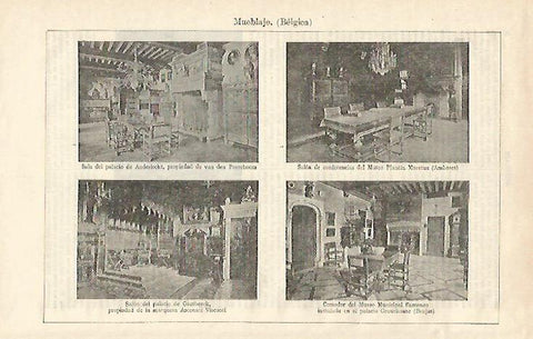 LAMINA ESPASA 24441: Mueblaje de Belgica