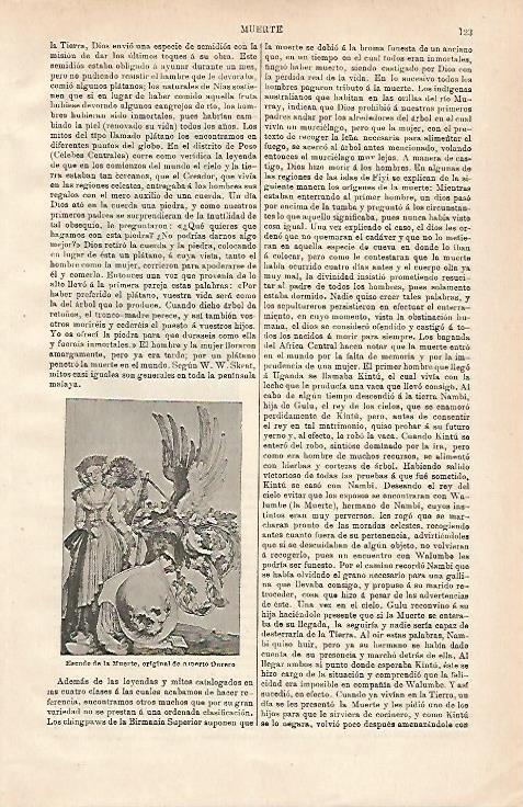 LAMINA ESPASA 24456: Escudo de la muerte por Durero