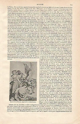 LAMINA ESPASA 24456: Escudo de la muerte por Durero