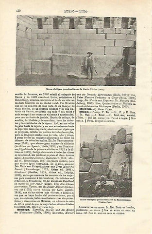 LAMINA ESPASA 24565: Machu Picchu en Peru