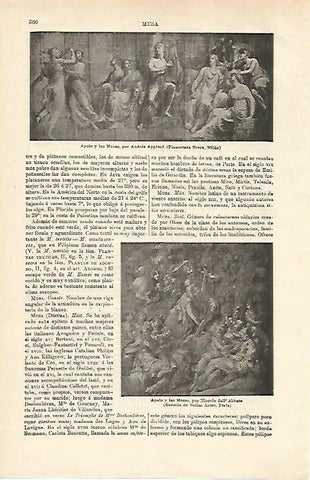 LAMINA ESPASA 24570: Apolo y las Musas por Appiani