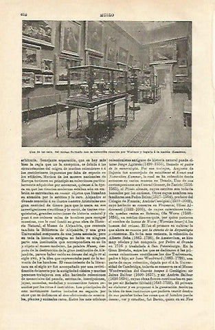LAMINA ESPASA 24576: Coleccion Wallace en Londres