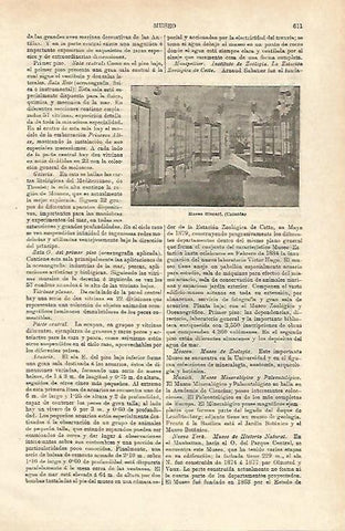 LAMINA ESPASA 24579: Museo Biscari en Catania