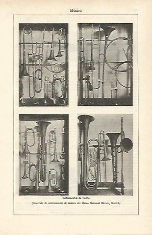 LAMINA ESPASA 24611: Instrumentos de viento