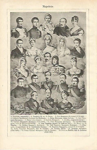 LAMINA ESPASA 24655: Napoleon y su familia