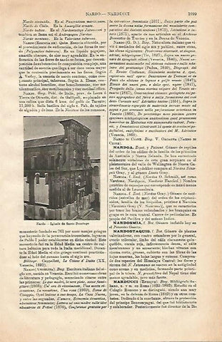 LAMINA ESPASA 24673: Iglesia de Santo Domingo en Nardo