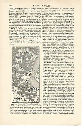 LAMINA ESPASA 24674: Plano de Narva en Finlandia