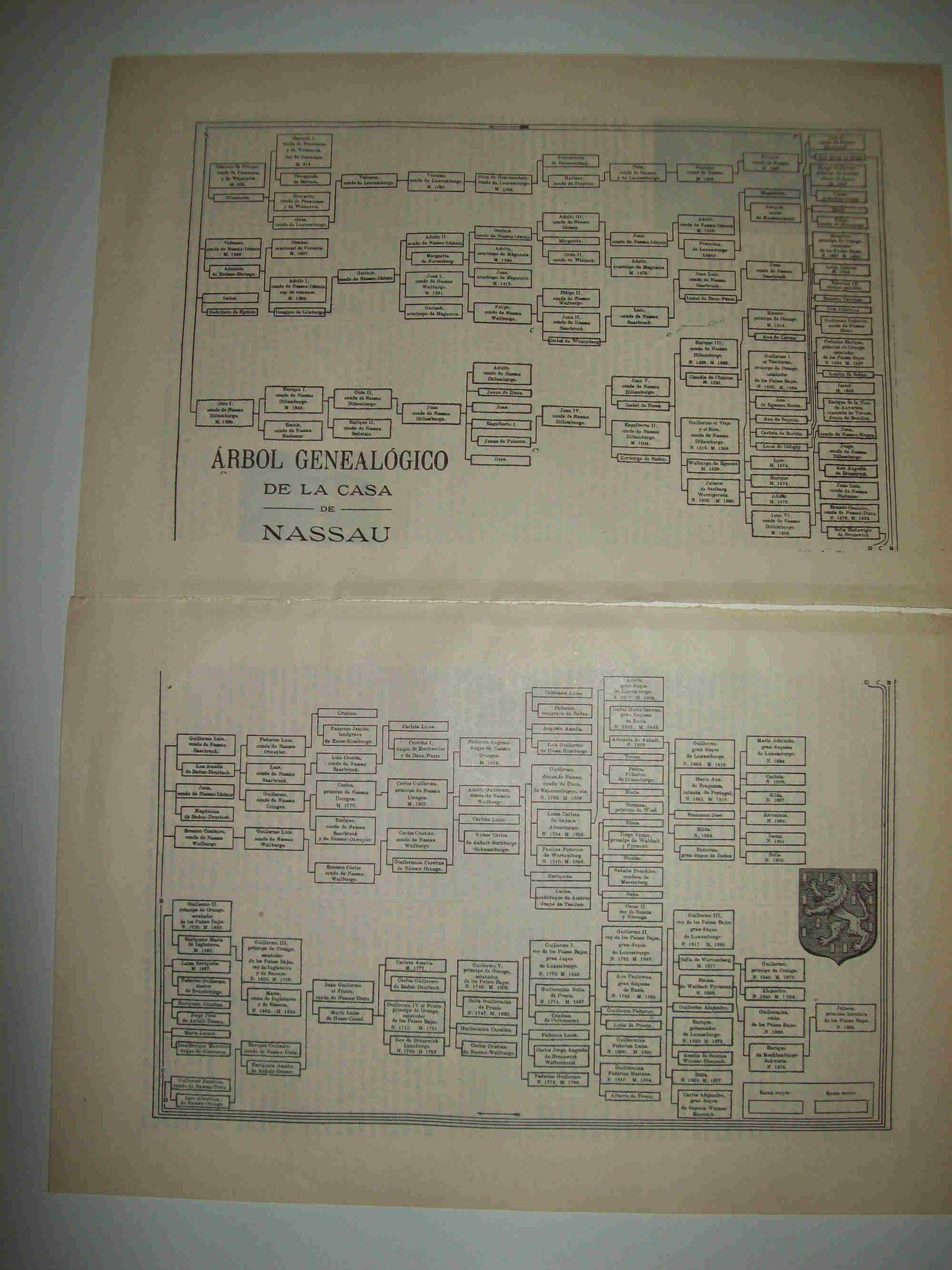 LAMINA ESPASA 24677: Arbol genealogico de la Casa de Nassau