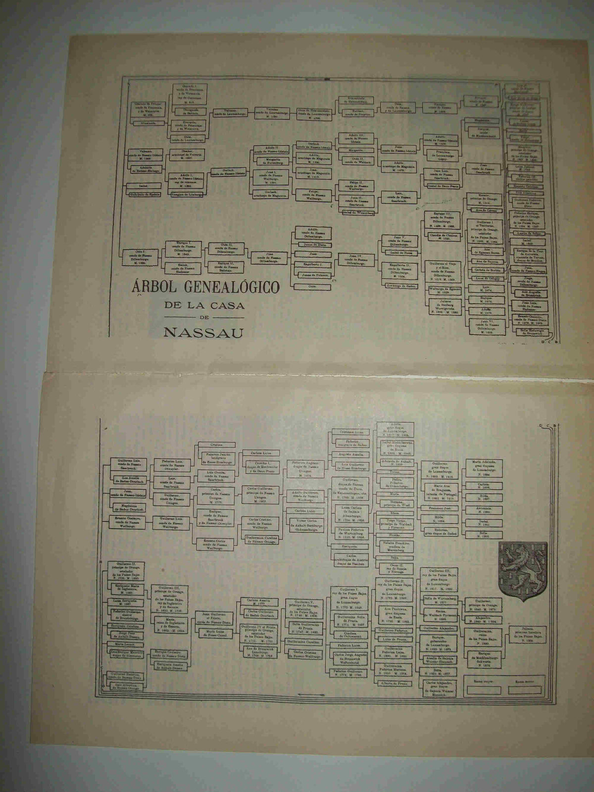 LAMINA ESPASA 24677: Arbol genealogico de la Casa de Nassau
