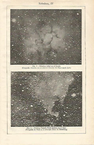 LAMINA ESPASA 24717: Nebulosa trebol en el Escudo