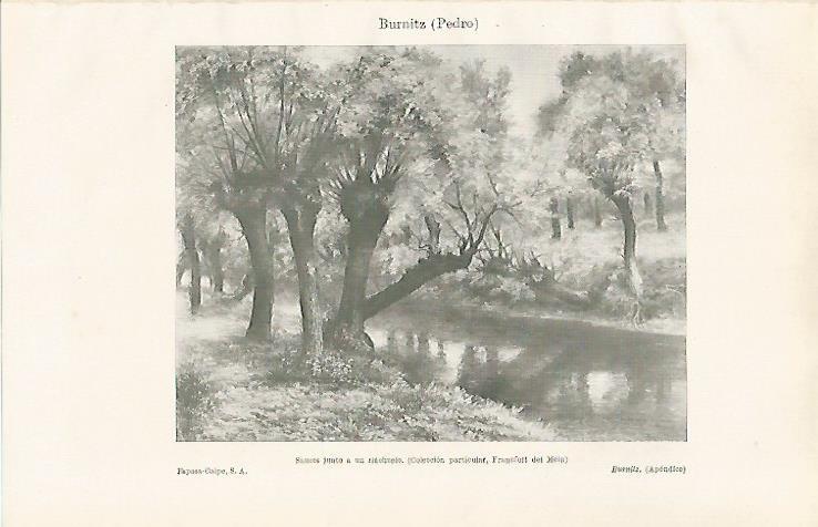 LAMINA ESPASA 24719: Sauces junto a un riachuelo por P. Burnitz