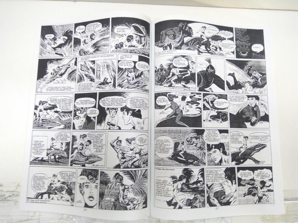 TARZAN - Epilogue a Pellucidar (Russ Manning), Bandes Journalieres: Del M-94 al M-308 (1971-72)
