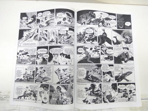 TARZAN - Epilogue a Pellucidar (Russ Manning), Bandes Journalieres: Del M-94 al M-308 (1971-72)