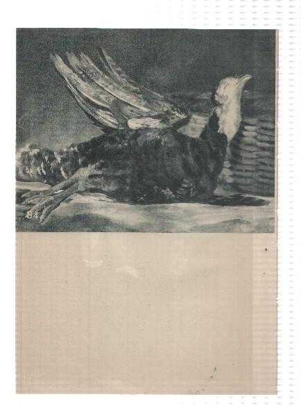El Museo del Prado, laminas 83 y 84: El duque de Alba y Un pavo muerto (Goya)