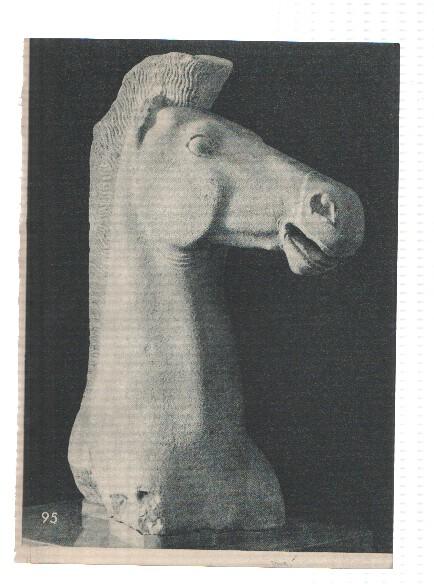 El Museo del Prado, laminas 95: Cabeza de caballo (estatua griega)