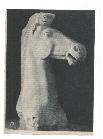 El Museo del Prado, laminas 95: Cabeza de caballo (estatua griega)